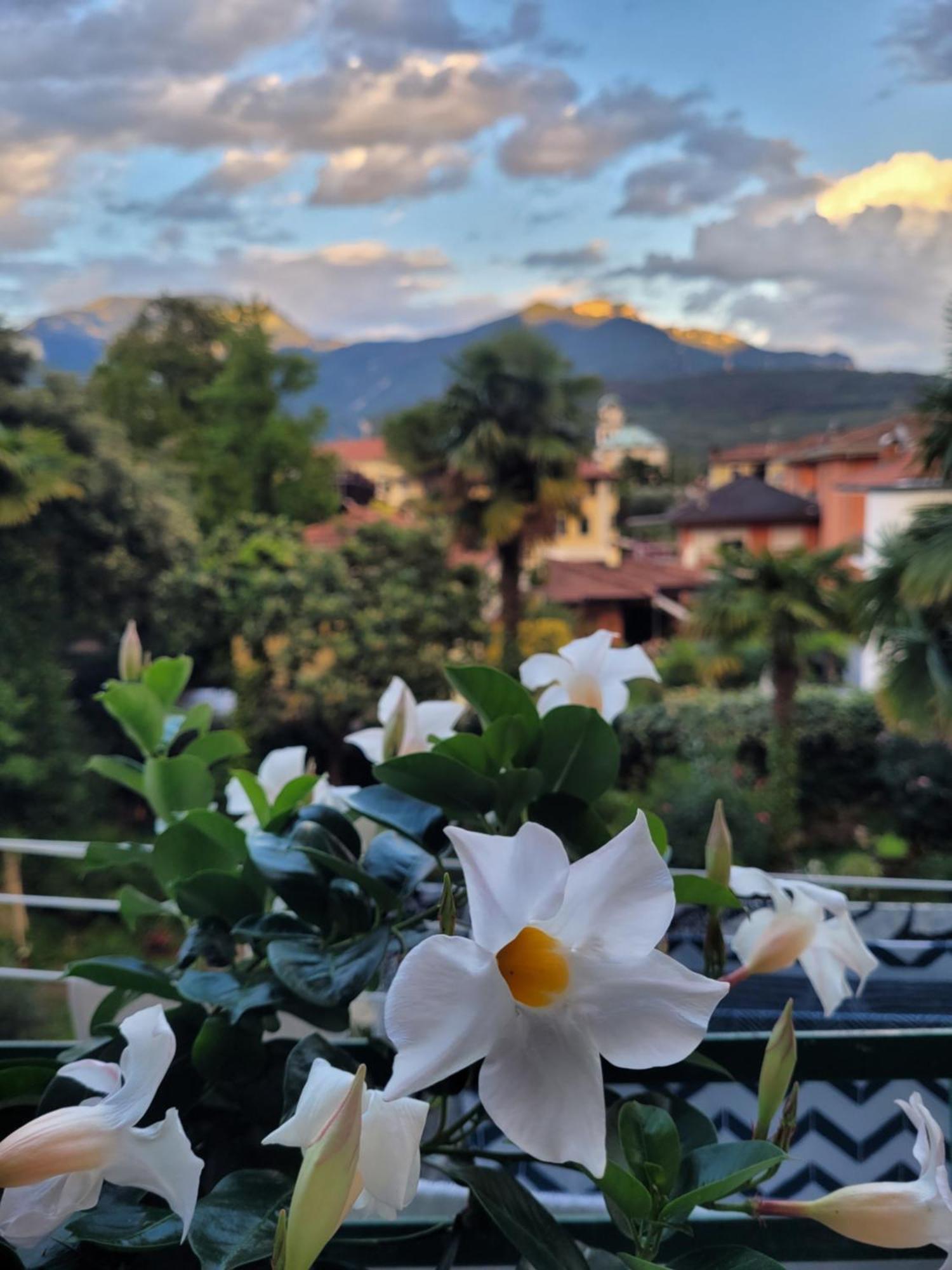 诺诺住宿加早餐旅馆 加尔达湖滨 外观 照片